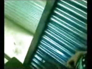 ब्राज़ीलियन थ्रीवे ह ...