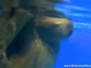 क्लासिक बस्टी कौगर स ...