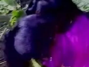 2 सेक्सी फिल्म फुल ए ...