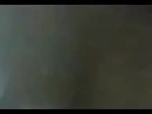 नंदा विशाल लैटिन गधा ...