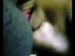 बालों वाली बिल्ली को ...