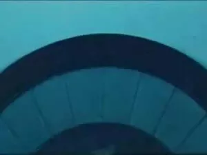 नॉर्वेजियन एमेच्योर  ...