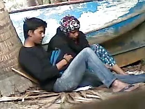 बालों वाली बिल्ली के ...