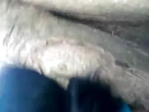 पीएम -82 द्वारा जॉयल ...